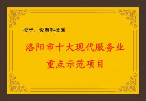 洛陽市十大現代服務業(yè)重點項目